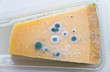 Foto: Schimmel auf einem Stück Käse Schimmel auf einem Stück Käse