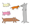 animals