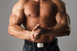 Muscular Male Torso
