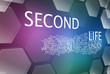 Second Life