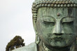 Buddha in Japan