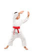 Photo: Karate boy exercising Karate boy exercising