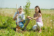 Teenager brother and sister sets tree