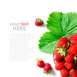 strawberries isolated on white background