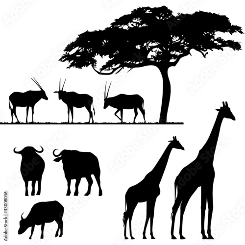 Vector: African animals, vector silhouettes African animals, vector silhouettes