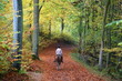 Rider on horse