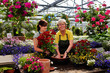 Foto: young and senior female gardener in the greenhouse young and senior female gardener in the greenhouse