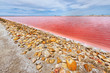 Salina Camargue Francia