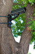 Foto: Videoüberwachung Videoüberwachung