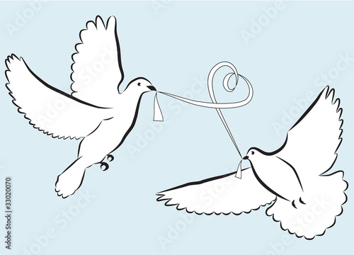 Vector: A pair of white wedding doves holding a ribbon in beak A pair of white wedding doves holding a ribbon in beak