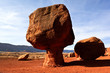 Nature In Balance