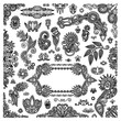 hand draw black flowers and frames elements