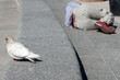 Foto: Betrunken Betrunken