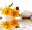 Spa accessories