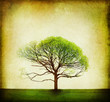 Nature Design. Vintage Tree Background