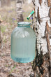 Birch sap