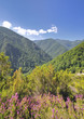 Bosque de Muniellos, Asturias, España.