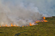 Heathland Fire
