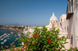 Procida