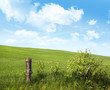 Country fence with flowers with blue sky Country fence with flowers with blue sky