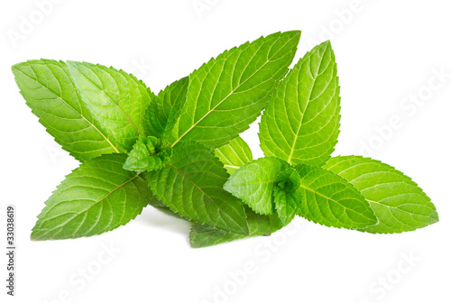 Photo: Fresh green mint isolated on white Fresh green mint isolated on white