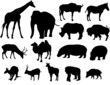 Vektor: Grandes Herbivoros Grandes Herbivoros