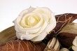 Dekoration in Schale Rose