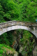 Schlucht mit Brücke 7