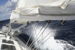Sailing pleasure