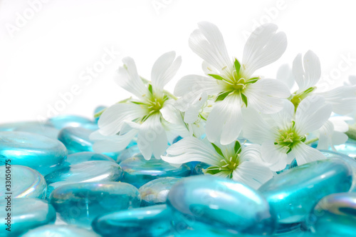 Photo: Beautiful White Flowers on Blue Glass Stones Beautiful White Flowers on Blue Glass Stones