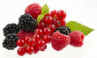 frutti di bosco