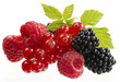 frutti di bosco
