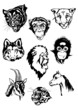 Set of animal heads