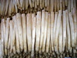 Spargel - Asparagus