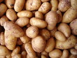 Kartoffeln - Potatoes