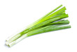 Fresh Leek