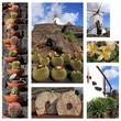 Jardín de Cactus / Collage Jardín de Cactus / Collage