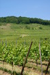 Eifel
