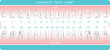 dental chart
