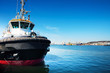 Photo: Tug ship Tug ship