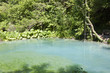 Tropical alike lake at Skra waterfals in Greece