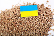 uncooked Buckwheat  groats close-up with  Ukrainian Flag