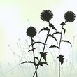 floral background, dandelion