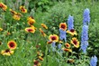 Blumen im Garten