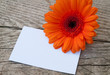 Zettel auf Holz mit Blume orange II