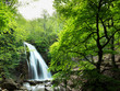 Natural Spring Waterfall