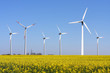 Wind Turbine - alternative and green energy source