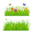 Green Grass With Flowers And Insects Green Grass With Flowers And Insects