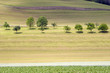 Green landscape