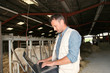 Breeder in barn with laptop computer Breeder in barn with laptop computer